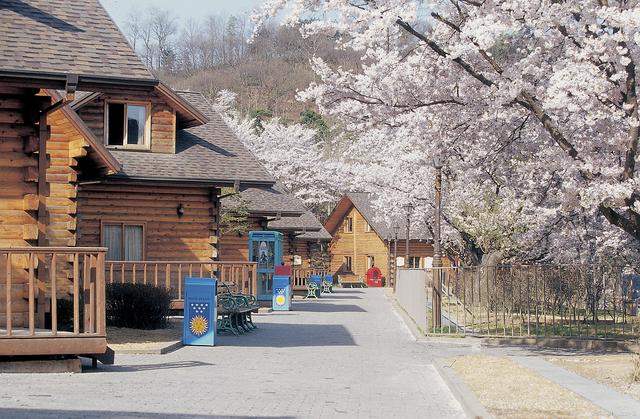 Sapporo.jpg