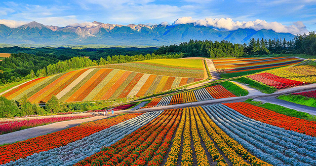 Furano.jpg