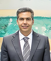 Joao Manuel R. S. Tavares